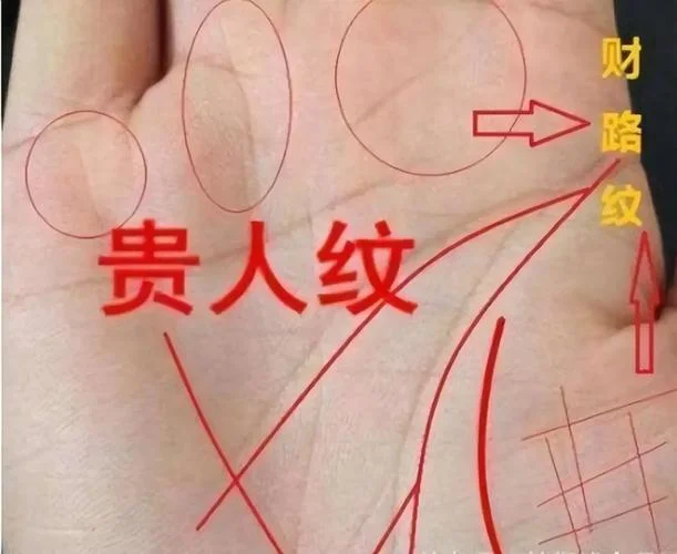 富贵命的手相图片_1