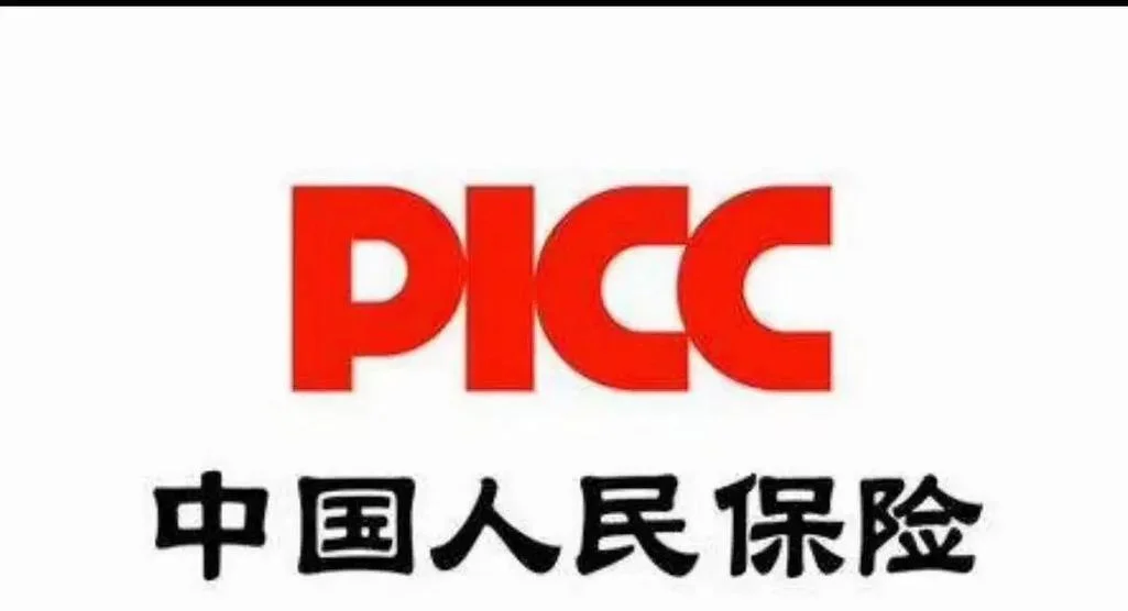 中国财险是什么保险公司_2