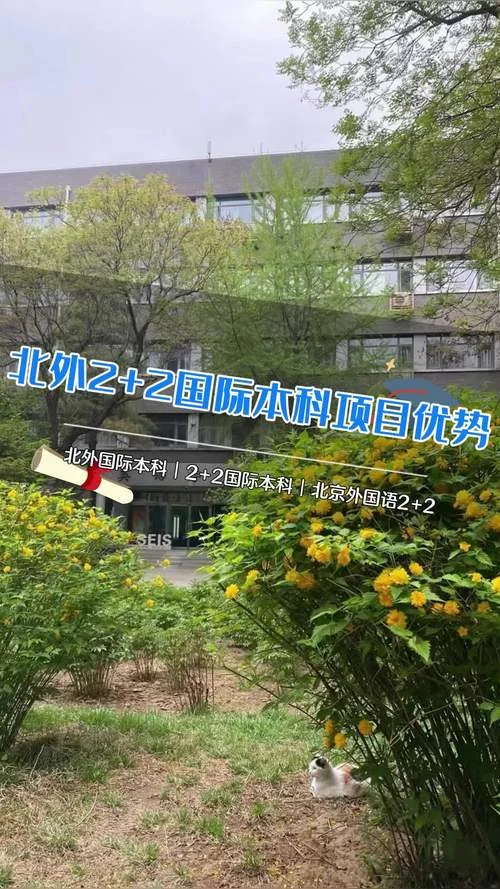 2+2国际本科留学项目_2
