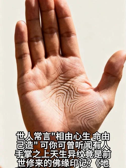 佛眼的手相-佛眼手相特征