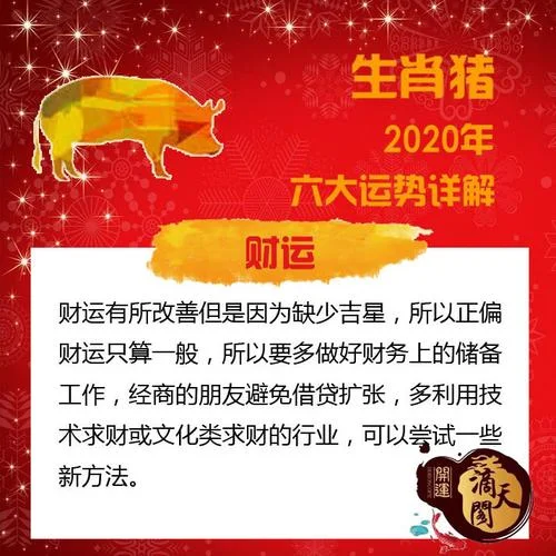 2020猪运势及运程_2