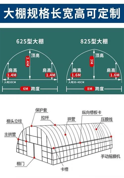 钢管大棚一亩多少钱_1