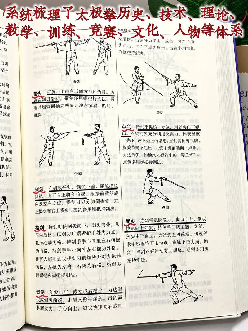 怎么才能学武术-学武术技巧指南