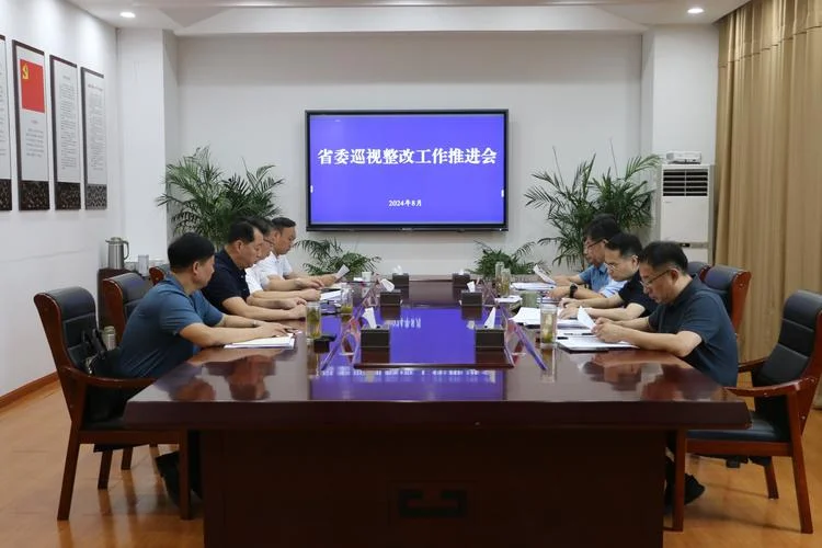 巡视工作感悟体会发言_1
