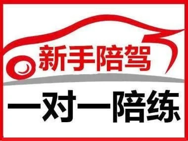 石家庄陪练公司那家好_1