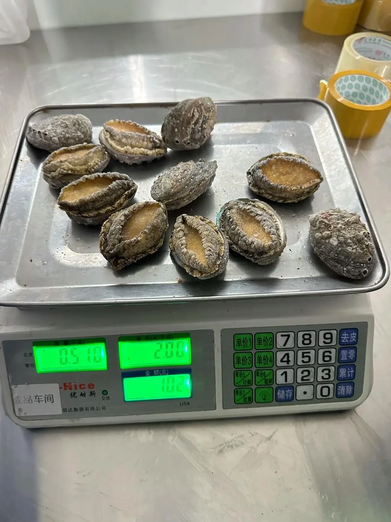 海鲜冻品公司起名大全_2