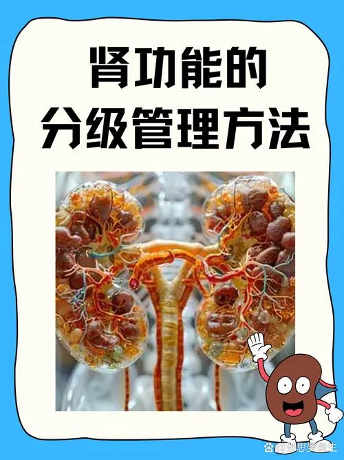 如何去查肾炎_1