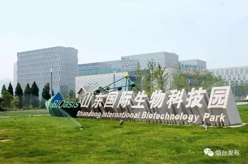 2020年韩企投资项目_1