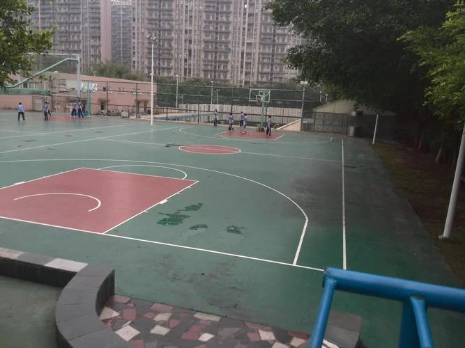 深圳教苑中学历史-深圳教苑中学历史