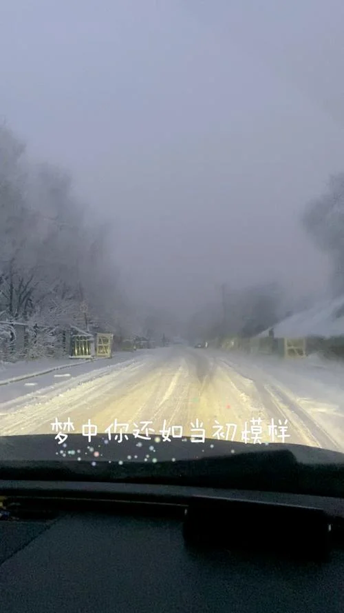 却是一动即殇出自哪_2