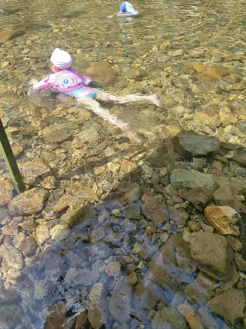 梦见要去游泳没下水_2