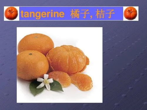 橘子的英文叫什么_2