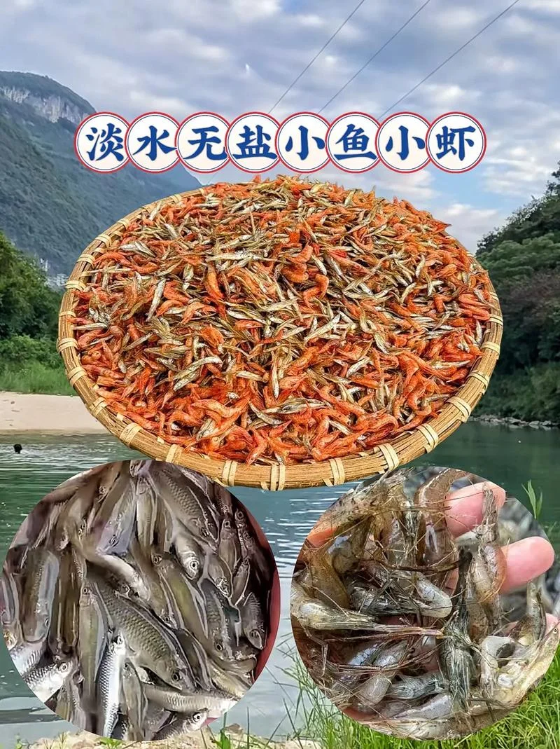 梦见抓小鱼小虾-捕小鱼小虾之梦