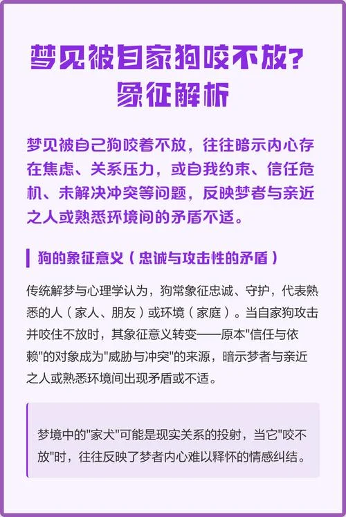 梦见被自己家狗咬了没出血_2