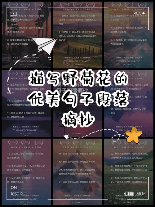 野花开说说_2