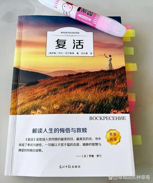 外国小说复活作者是谁_1