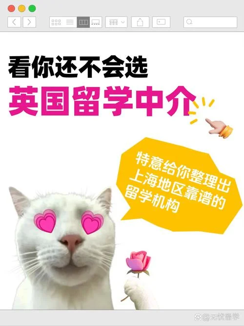 留学中介英语怎么说-留学中介英文