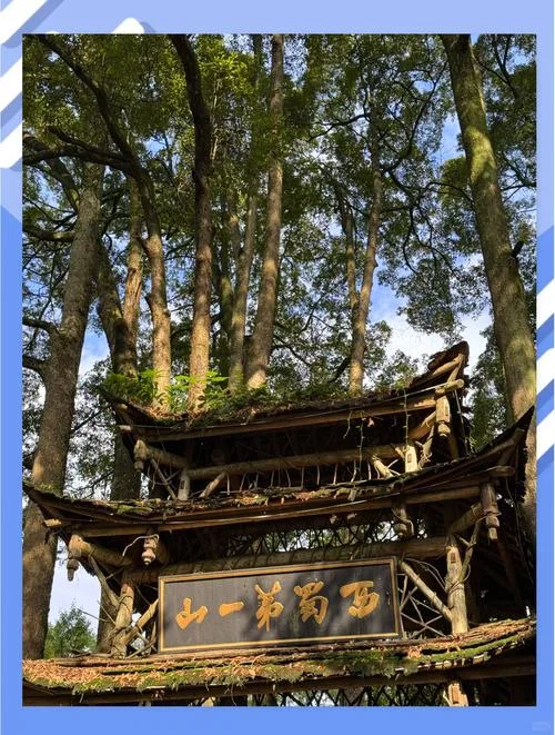 青城山一日游门票-青城山一日游门票