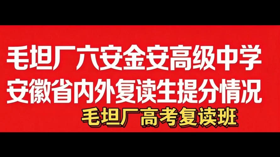 毛坦厂中学复读班成绩_2