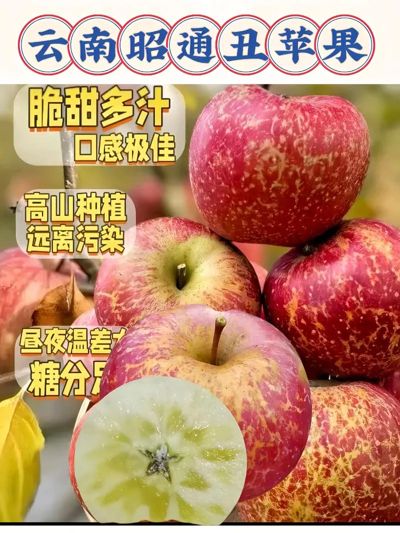 苹果的产地出自哪里_1