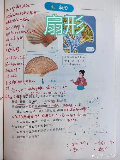初中扇形公式大全-初中扇形公式全解