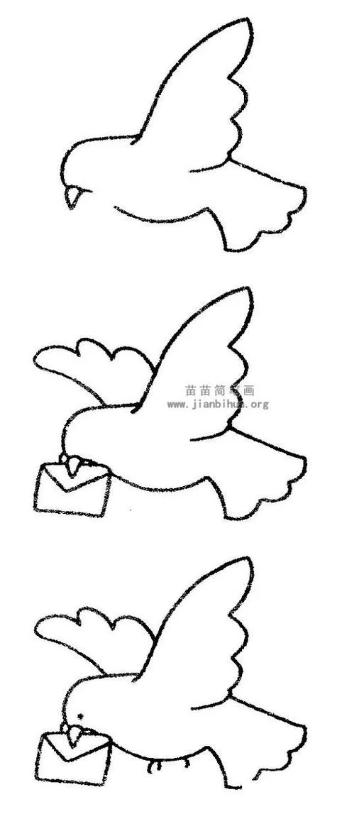 鸽子简笔画大全_2