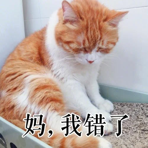 爱就像你爸打你你妈骂你从不讲道理视频-爱恨交织的亲情视频