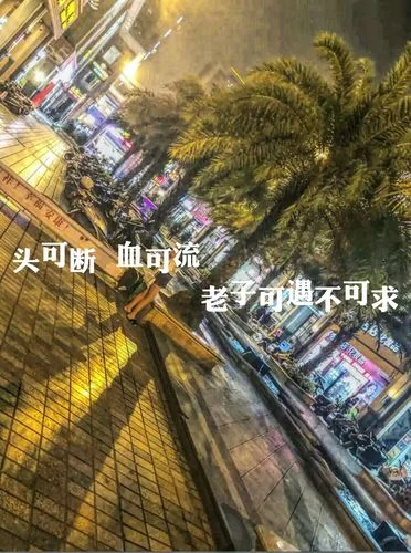 可遇不可求上一句快手_2