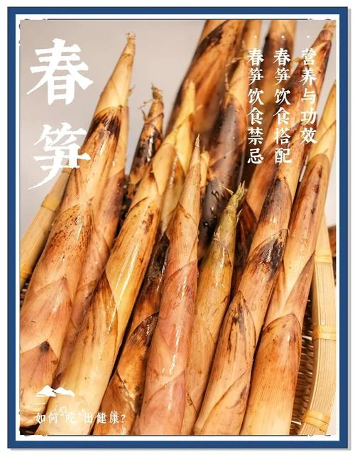 笋嘢 笋字出自_1