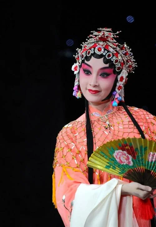 不入梨园出自哪里_2