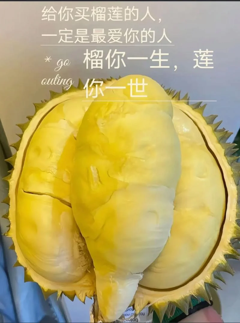 经期吃榴莲的文案_2