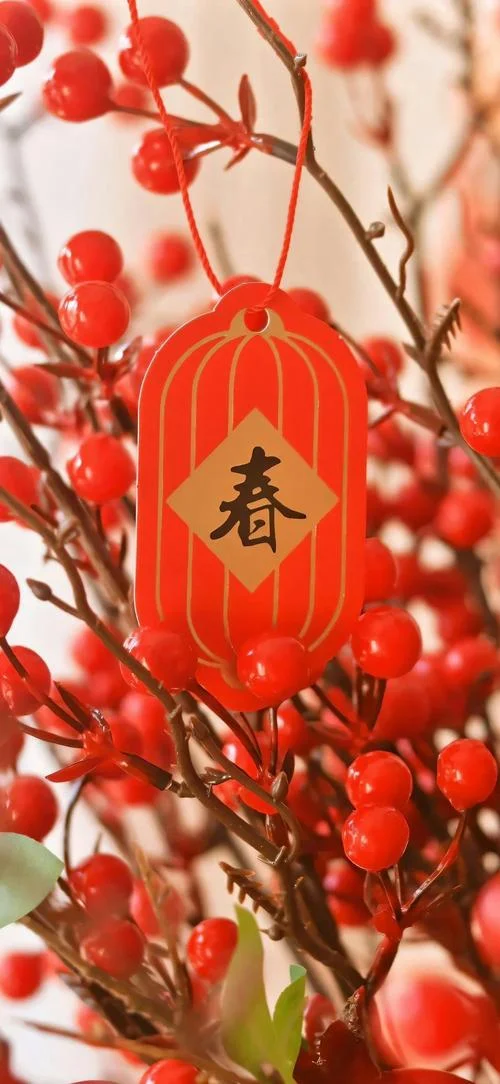 新年人生感悟_1