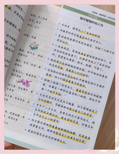 小学生好段摘抄有出处-小学生好段有出处