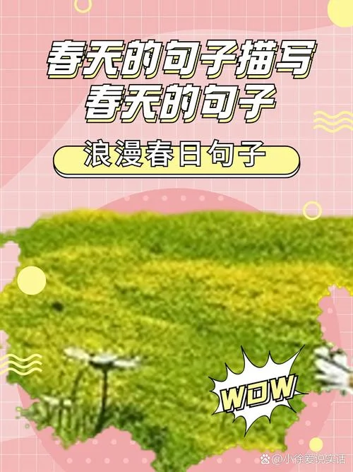 春天来了心情感悟四字_1