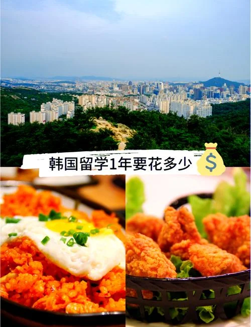 去韩国留学一年多少钱_1