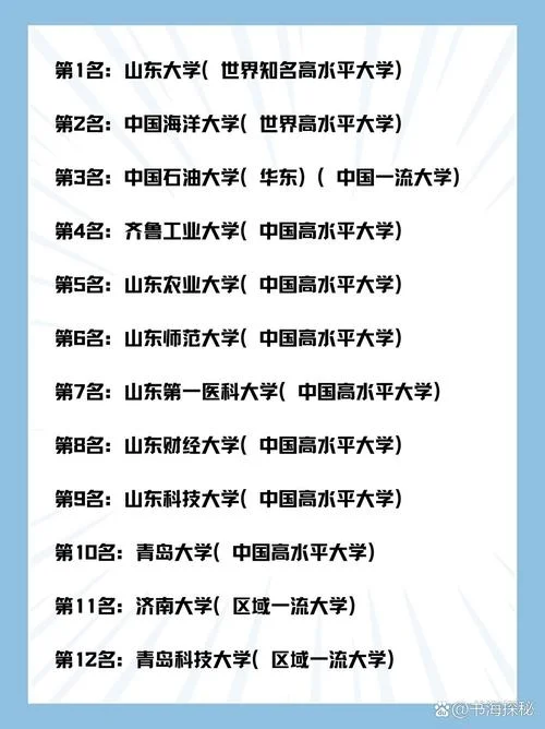 山东民办大学排名_2