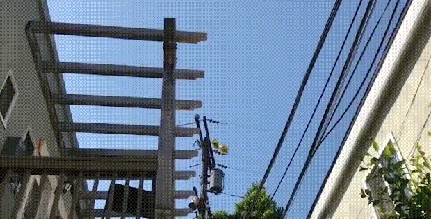 每周一车 出处-每周一车，出处
