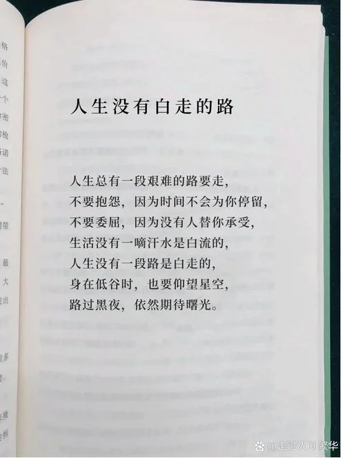 人生没有白走的路感悟-人生未走白路行