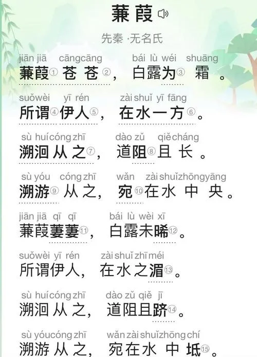 蒹葭出处_1