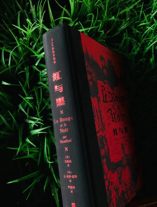 红与黑的作者是谁写的_1