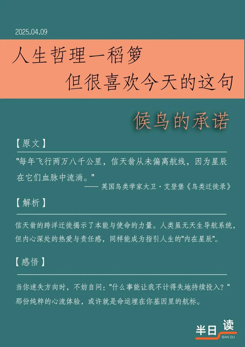 好句好段摘抄加出处_2