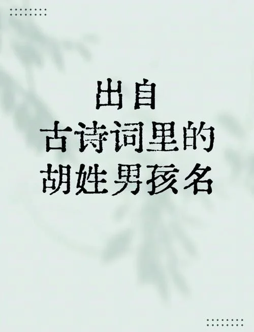胡姓宝宝起名俩字_1