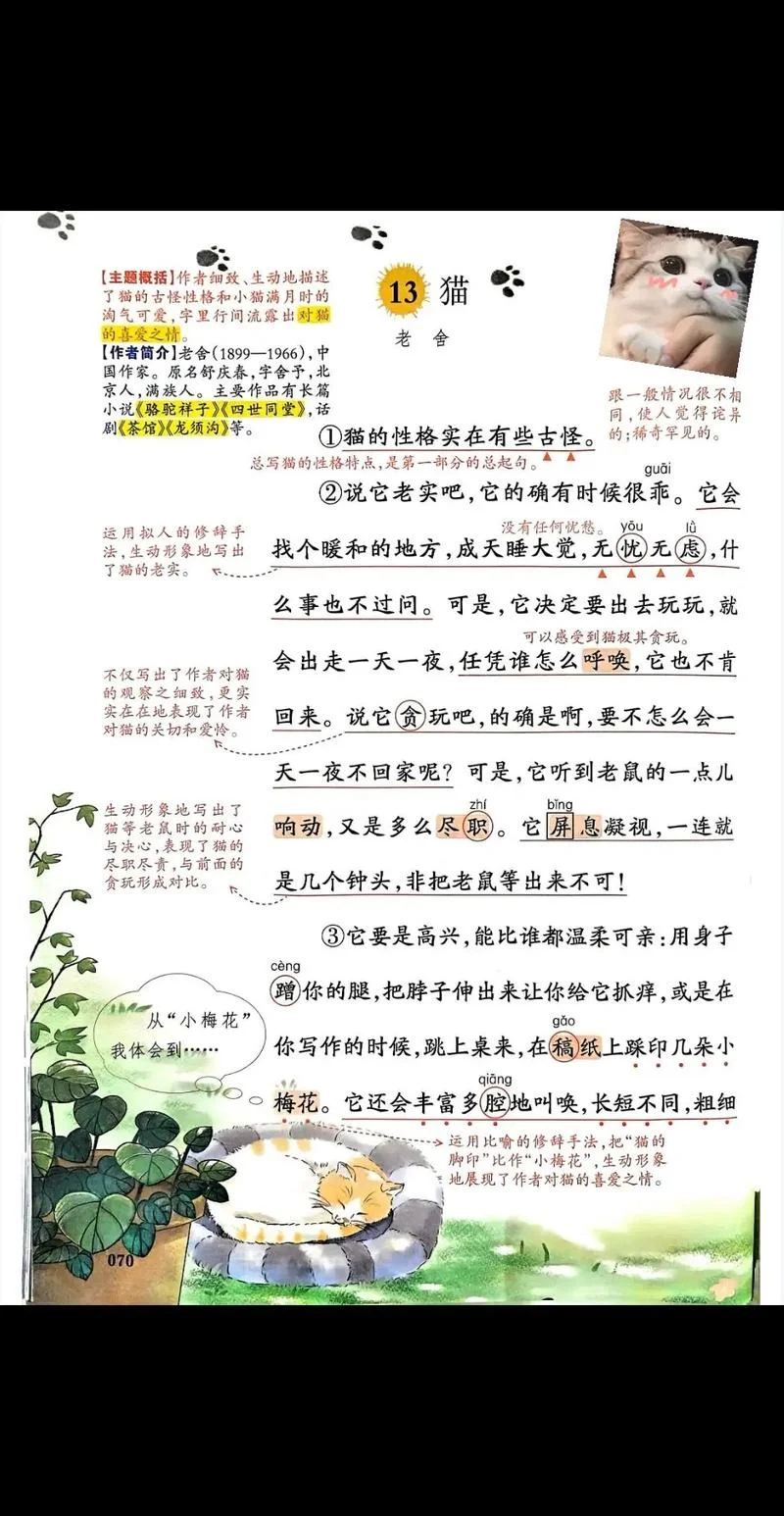 对猫集体备课的感悟_1