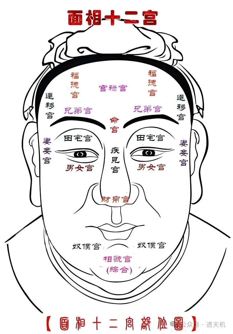 额骨突出 面相-