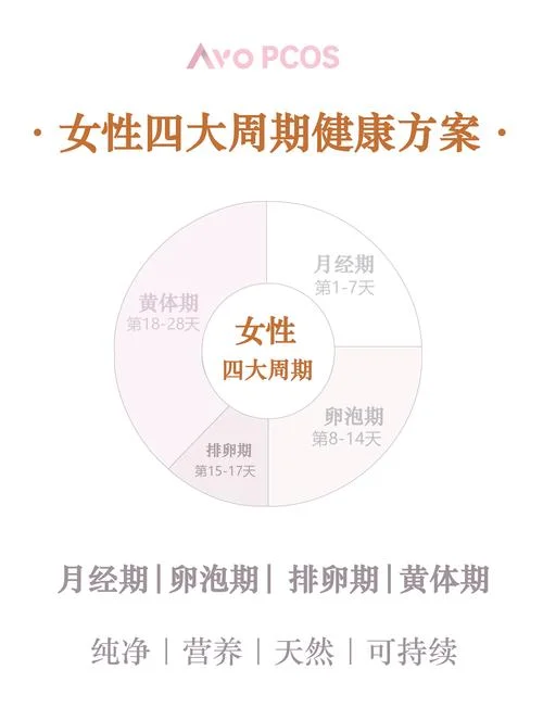 一个月经周期是指什么_1
