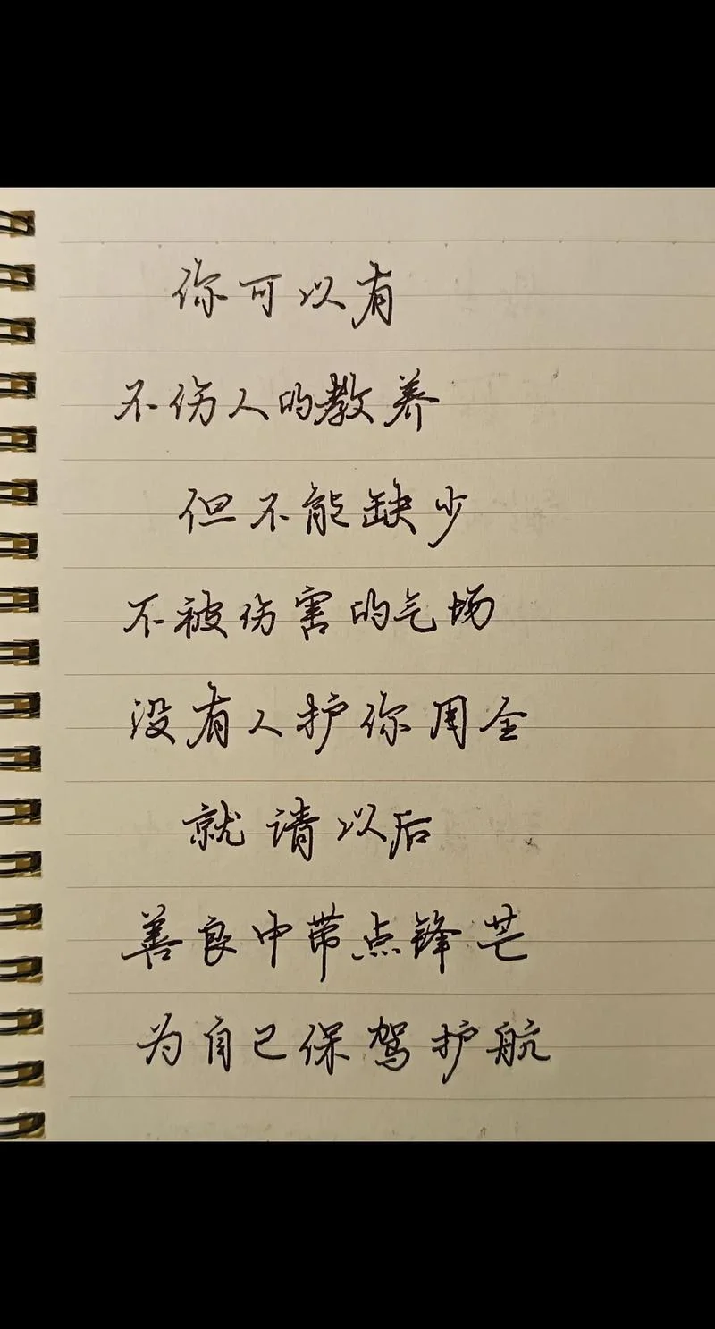 学习汉字的感悟_2