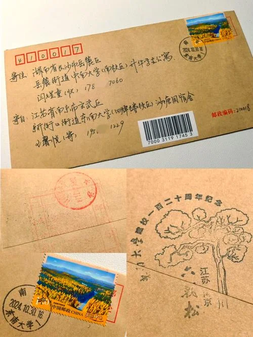 如何查挂号信_1