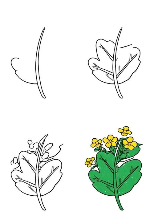 简笔画树叶子图片大全_2