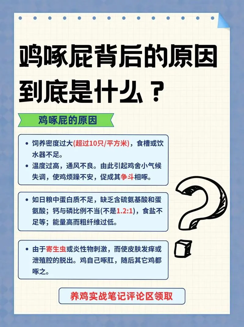 菜鸡互啄出自哪里_1