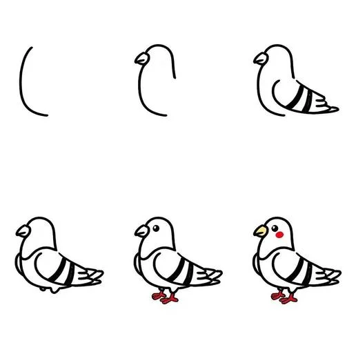 鸽子简笔画大全图片-鸽子简笔画图片大全